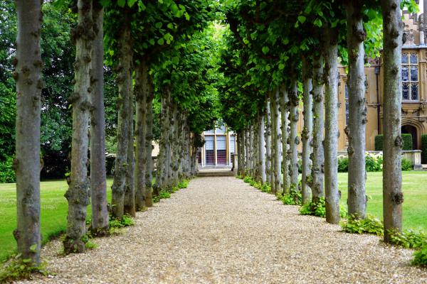 A long established fact