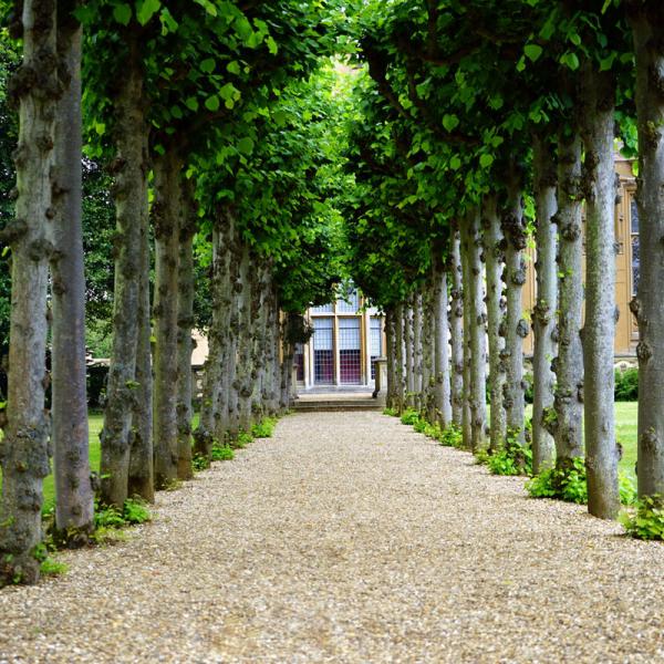 A long established fact