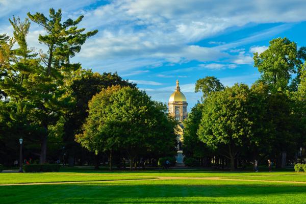 Generators on the Internet tend