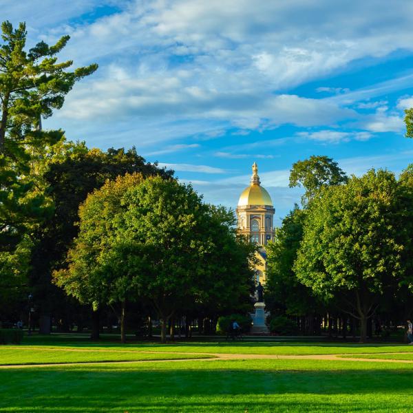 Generators on the Internet tend