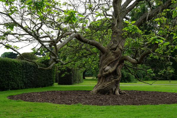 Hidden in the middle of text