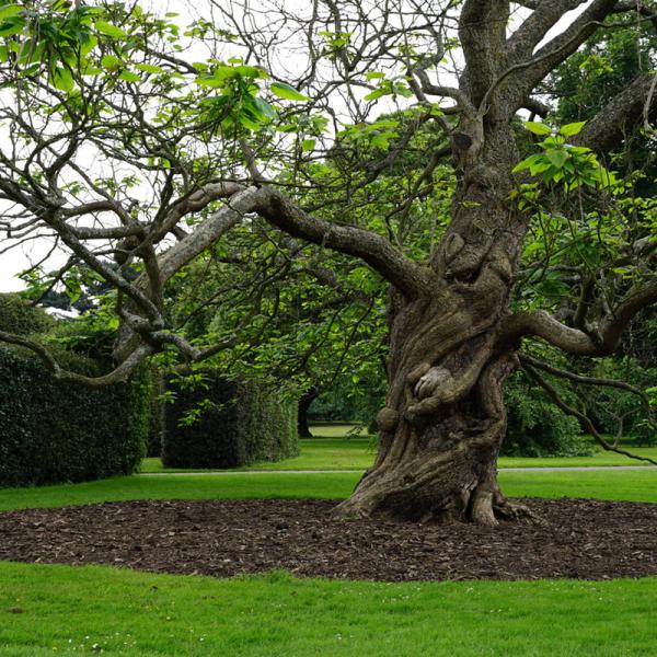 Hidden in the middle of text