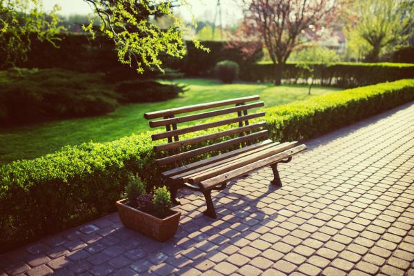 Internet tend to repeat predefined