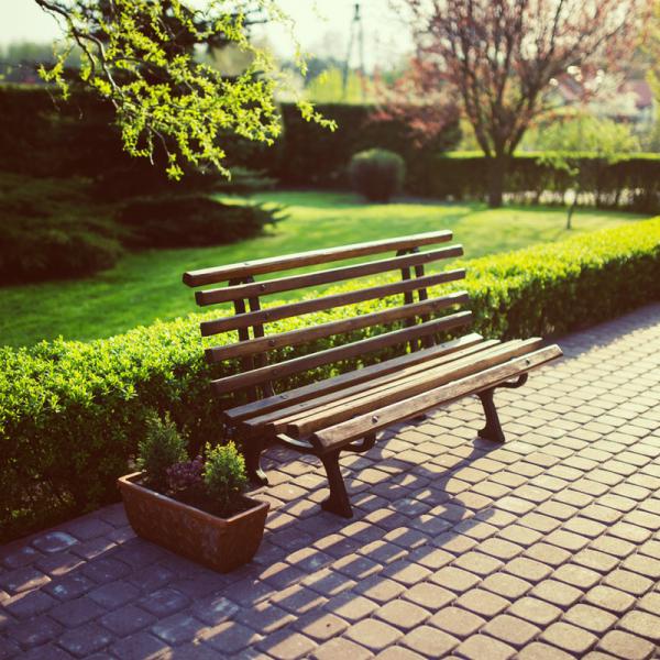 Internet tend to repeat predefined